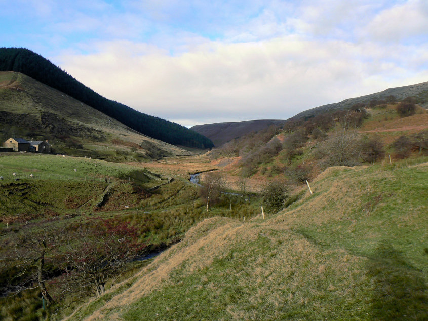 Alport Dale Alport Dale